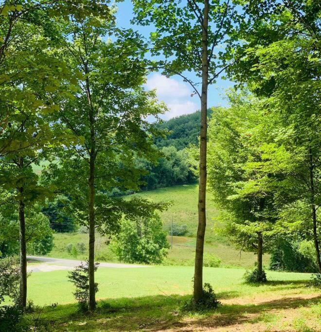 Foxtail Orchards - The Fox Den Tazewell Exterior foto